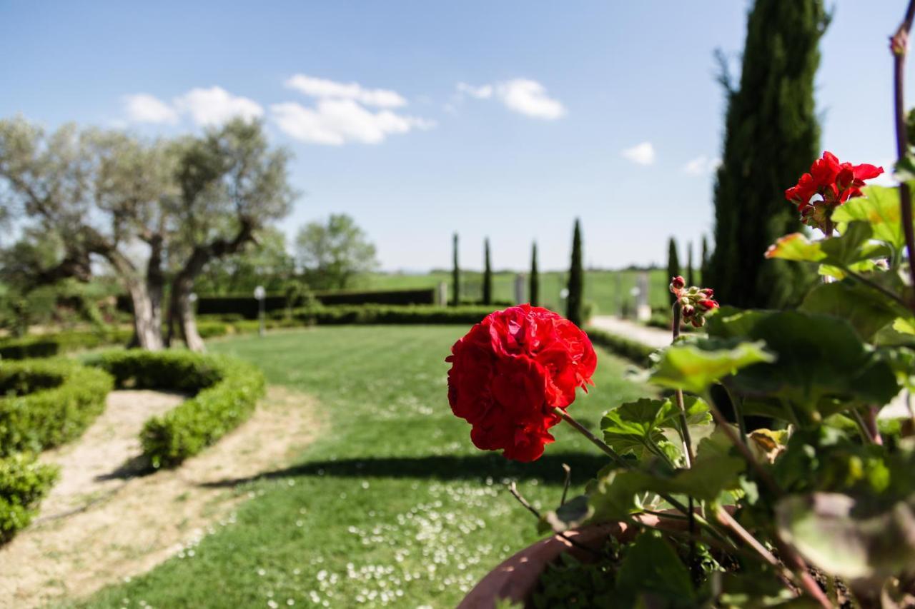 Podere San Giuseppe Bed & Breakfast Castiglione del Lago Luaran gambar