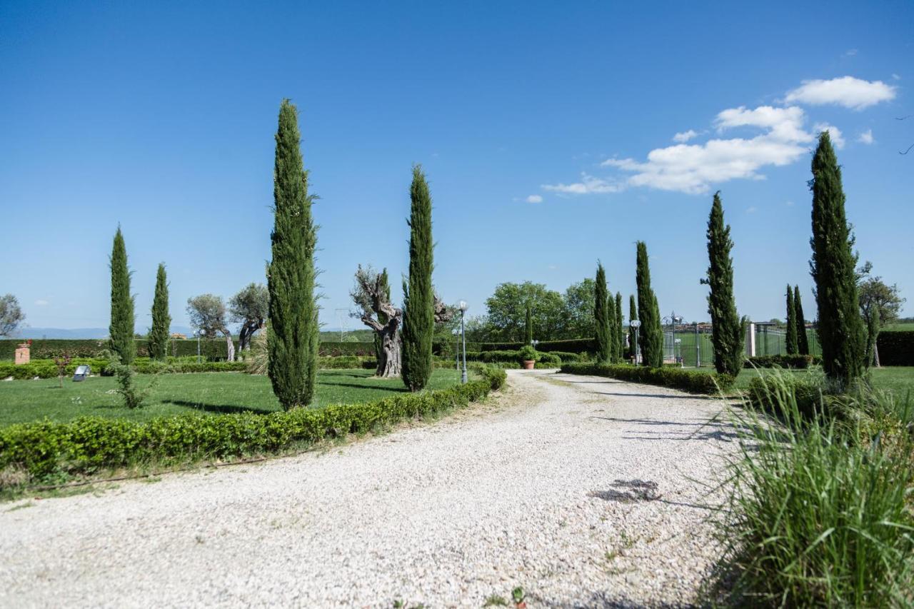 Podere San Giuseppe Bed & Breakfast Castiglione del Lago Luaran gambar