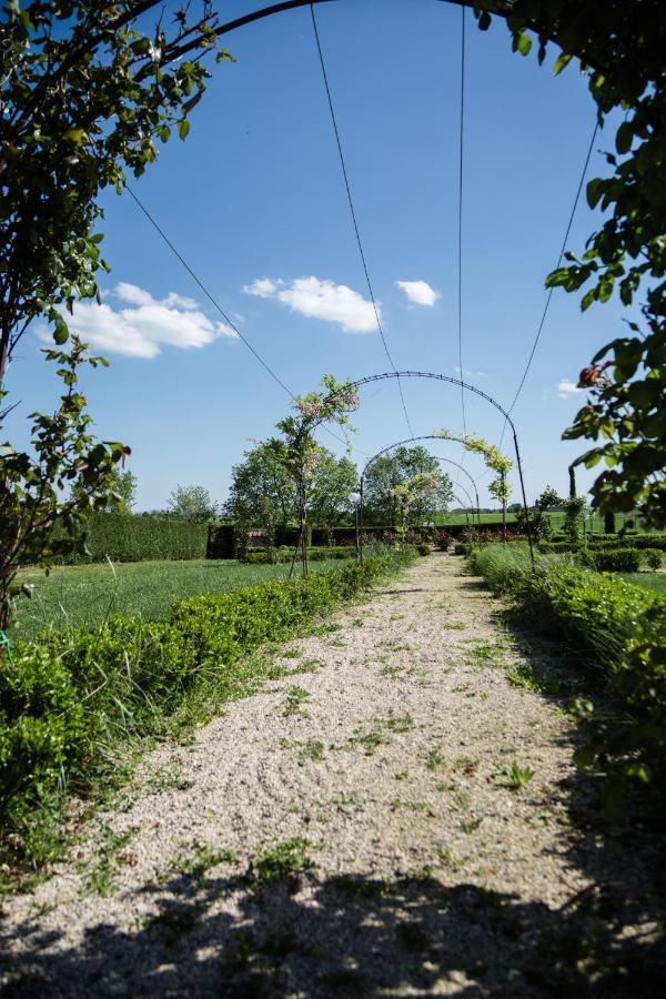 Podere San Giuseppe Bed & Breakfast Castiglione del Lago Luaran gambar